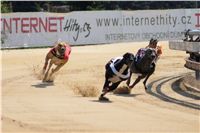 018_Zlaty_Chrt_Dior_Czech_Greyhound_Racing_Federation_DSC09181.jpg