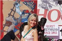 004_Zlaty_Chrt_Design_Lijane_Czech_Greyhound_Racing_Federation_DSC00680.jpg