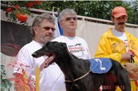 004_Zlaty_Chrt_Cassandra_Czech_Greyhound_Racing_Federation_DSC04801.jpg