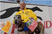 002_Zlaty_Chrt_Design_Andy_Czech_Greyhound_Racing_Federation_DSC05780.JPG