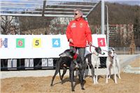 Starting_boxes_Prague_Greyhound_Park_Motol_CGDF_IMG_2326.jpg