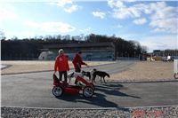 Chrti_Greyhound_Park_Prague_Motol_CGDF_DSC05246.JPG