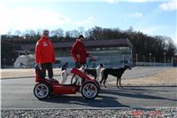 Chrti_Greyhound_Park_Prague_Motol_CGDF_DSC05247.JPG