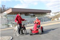 Chrti_Greyhound_Park_Prague_Motol_CGDF_IMG_2360.JPG