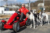 Go_kart_FXX_Greyhound_Park_Prague_Motol_CGDF_DSC05132.JPG