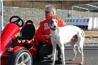 Starting_boxes_Prague_Greyhound_Park_Motol_CGDF_DSC05239.JPG