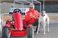 Starting_boxes_Prague_Greyhound_Park_Motol_CGDF_IMG_2439.JPG