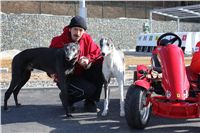 Starting_boxes_Prague_Greyhound_Park_Motol_CGDF_IMG_2440.JPG