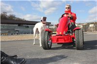 racing_Greyhound_Park_Prague_Motol_CGDF_IMG_2392.JPG