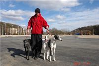 Chrti_Greyhound_Park_Prague_Motol_CGDF_DSC05127.JPG