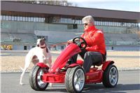 Czech_racing_Greyhound_Park_Prague_Motol_CGDF_IMG_2390.JPG