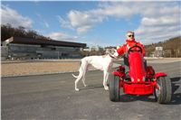 Go_kart_Ferrari_FXX_Greyhound_Park_Prague_Motol_CGDF_DSC05177.JPG