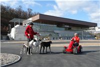 Greyhound_Park_Prague_Motol_CGDF_DSC05142.JPG