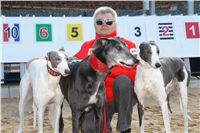 Starting_boxes_Prague_Greyhound_Park_Motol_CGDF_DSC05212.JPG