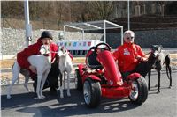 Starting_boxes_Prague_Greyhound_Park_Motol_CGDF_DSC05220.JPG