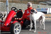 Starting_boxes_Prague_Greyhound_Park_Motol_CGDF_DSC05241.JPG