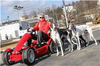 Starting_boxes_Prague_Greyhound_Park_Motol_CGDF_IMG_2344.JPG