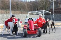 Starting_boxes_Prague_Greyhound_Park_Motol_CGDF_IMG_2429.JPG