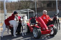 Starting_boxes_Prague_Greyhound_Park_Motol_CGDF_IMG_2432.JPG