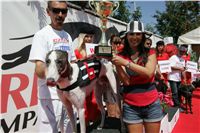 White_Winner_Czech_Greyhound_Racing_Federation_NQ1M6259.JPG