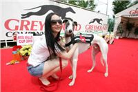 White_Zlaty_chrt_Velmistr_Czech_Greyhound_Racing_Federation_NQ1M5246.JPG