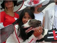 White_Zlaty_chrt_Velmistr_Czech_Greyhound_Racing_Federation_PICT1360.JPG