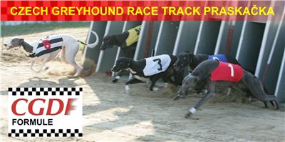 Chrt_dostihy_Czech_Greyhound_Racing_Federation_NQ1M0011.jpg Chrt_dostihy_Czech_Greyhound_Racing_Federation_NQ1M0011.jpg