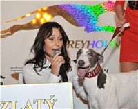 Heidi_White_Zlaty_chrt_Velmistr_Czech_Greyhound_Racing_Federation_fs_0165.jpg