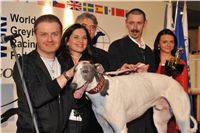 White_Zlaty_chrt_Velmistr_Czech_Greyhound_Racing_Federation_279.jpg