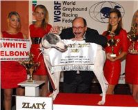 White_Zlaty_chrt_Velmistr_Czech_Greyhound_Racing_Federation_Dsc_0161.jpg