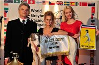 White_Zlaty_chrt_Velmistr_Czech_Greyhound_Racing_Federation_Michaela_Ochotska_081.jpg