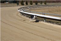 Chrti_trenink_03-03-12_Czech_Greyhound_Racing_Federation_IMG_IMG_2680.JPG