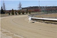 Chrti_trenink_03-03-12_Czech_Greyhound_Racing_Federation_IMG_IMG_2684.JPG