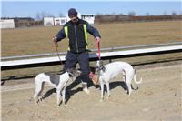 Chrti_trenink_03-03-12_Czech_Greyhound_Racing_Federation_IMG_IMG_2689.JPG