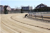 Chrti_trenink_03-03-12_Czech_Greyhound_Racing_Federation_IMG_IMG_2692.JPG