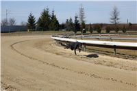 Chrti_trenink_03-03-12_Czech_Greyhound_Racing_Federation_IMG_IMG_2722.JPG