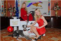 Golden_Greyhound_Awards_Czech_Greyhound_Racing_Federation_DSC_0188.jpg
