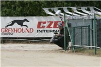 Photographer_Czech_Greyhound_Racing_Federation_NQ1M0548.JPG