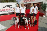 parade_handlers_Czech_Greyhound_Racing_Federation_NQ1M7960.JPG