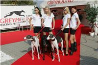 parade_handlers_Czech_Greyhound_Racing_Federation_NQ1M7960.jpg