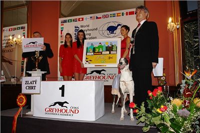 Odhaleni_obrazu_Ringo_Cech_Zlaty_chrt_Velmistr_Cayenn_Czech_Greyhound_Racing_Federation.jpg