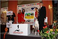 Odhaleni_obrazu_Ringo_Cech_Zlaty_chrt_Velmistr_Cayenn_Czech_Greyhound_Racing_Federation.jpg