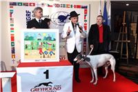 Zlaty_Chrt_2010_Ringo_Cech_obraz_Czech_Greyhound_Racing_Federation_9450.jpg