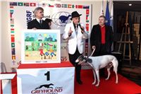 Zlaty_Chrt_2010_Ringo_Cech_obraz_Czech_Greyhound_Racing_Federation_9450.jpg