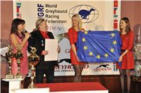 Obraz_chrt_Ringo_Czech_Greyhound_Racing_Federation_345.jpg