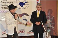 Obraz_chrt_Ringo_Czech_Greyhound_Racing_Federation_358.jpg