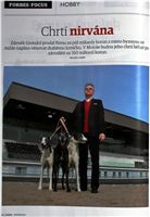 Chrti_nirvana_Forbes_05-2012-Ceska_greyhound_dostihova_federace-1.JPG