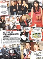 OK_magazin_05-2012_Zlaty_chrt_Ceska_greyhound_dostihova_federace.jpg