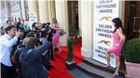 Awards_2011_Czech_Greyhound_Racing_Federation_VIP_DSC06661.JPG
