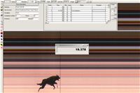 Cool_Gabbana_Czech_Greyhound_Racing_Federation_trial.jpg